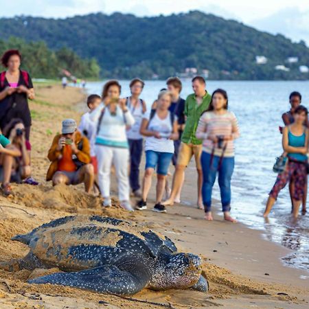 Le Petit Marin Des Salines A 0 Metre De La Plage Remire-Montjoly Luaran gambar